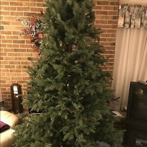 Used Christmas tree